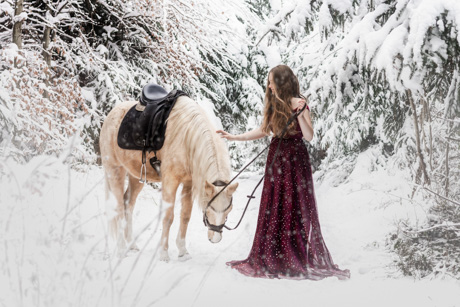 Horse Photo