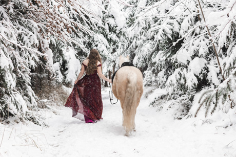 Horse Photo