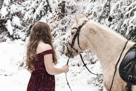 Horse Photo