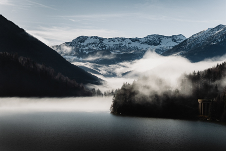 Nature Photo