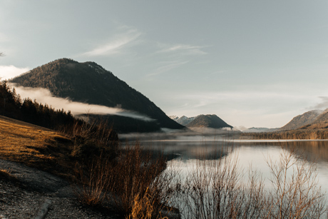 Nature Photo